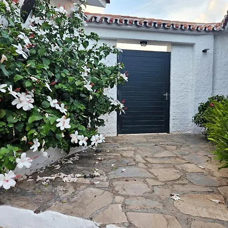 Golondrinas By Sol Maestranza * Marbella